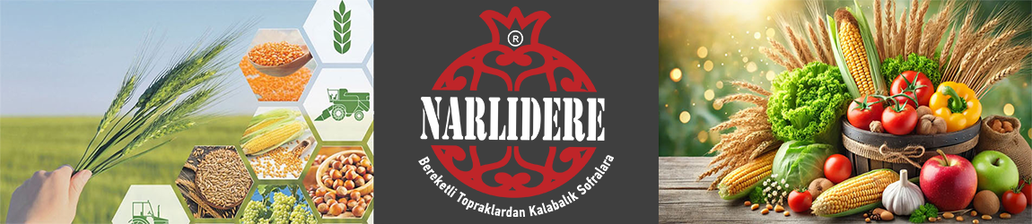 ÜYELİK SAYFASI BANNER