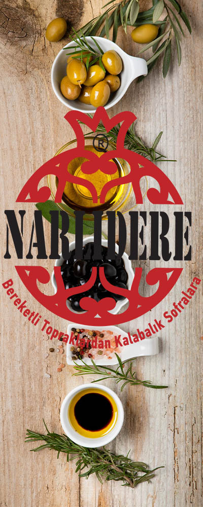 NARLIDERE GIDA