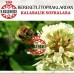 Doğal Süzme Çiçek Balı 850 GR Cam Kavanoz