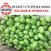 Yeşil Kırma Zeytin Salamura 1000 GR Cam Kavanoz XS