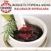 Doğal Sade Zeytin Ezmesi 340 Gram