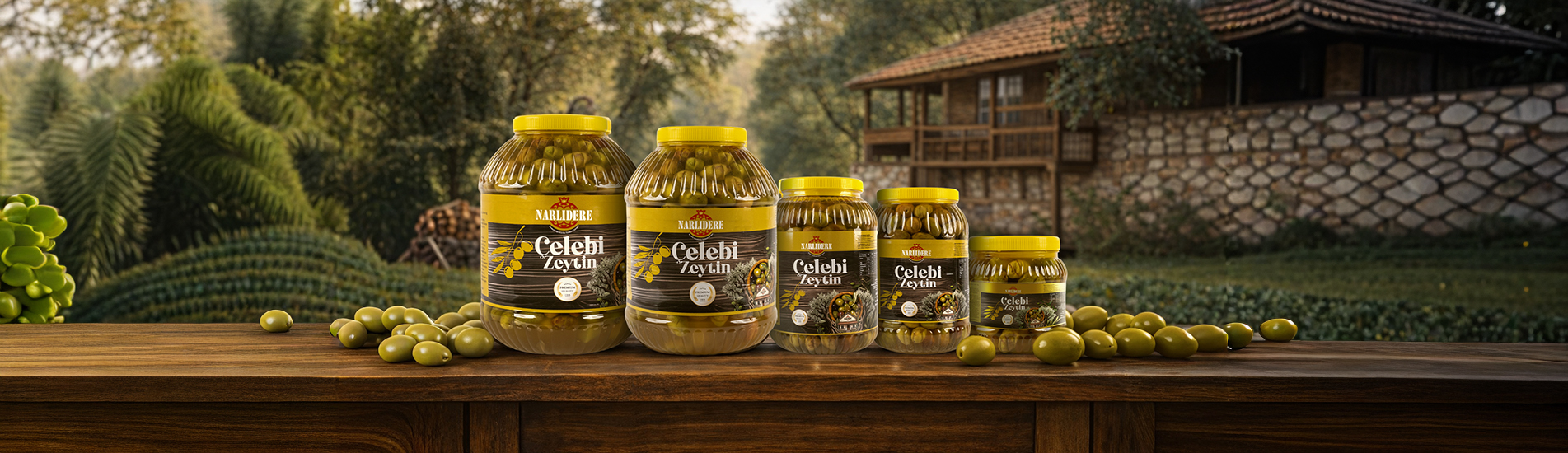 Çelebi Zeytin Çeşitleri