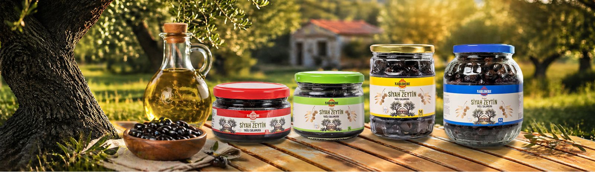 Doğal Salamura Yağlı Siyah Zeytin Çeşitleri