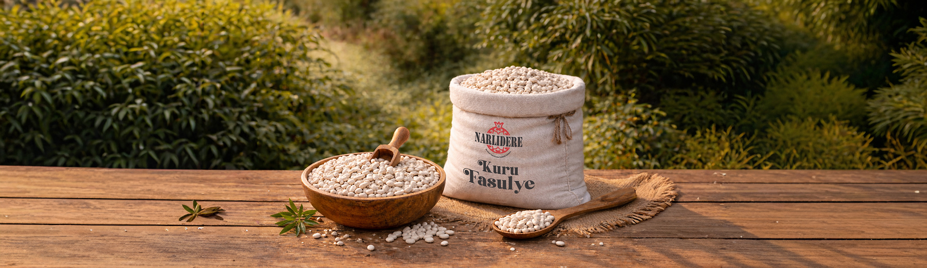 Kuru Fasulye Çeşitleri