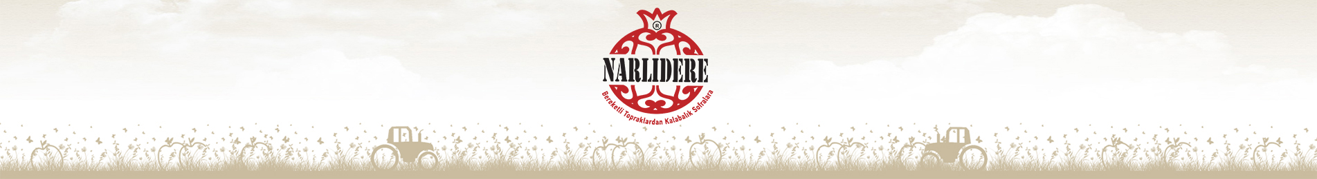 ANASAYFA ORTA SLIDER