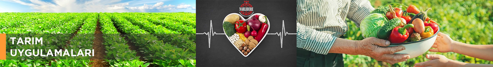 ANASAYFA ORTA SLIDER