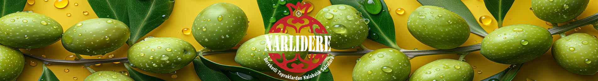 ANASAYFA ORTA SLIDER