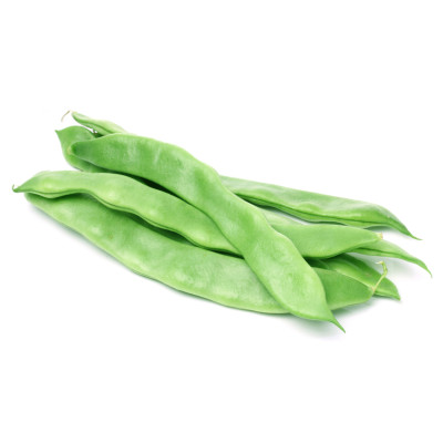 Fasulye Ayşe Kadın