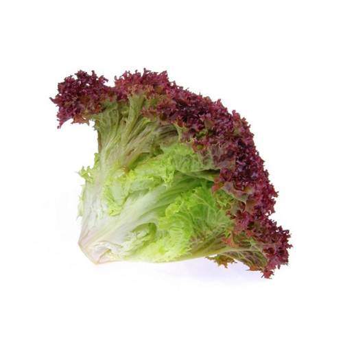 Lolorosso - Akdeniz Salatası