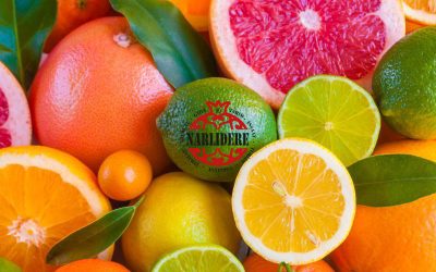 Narlıdere Narenciye