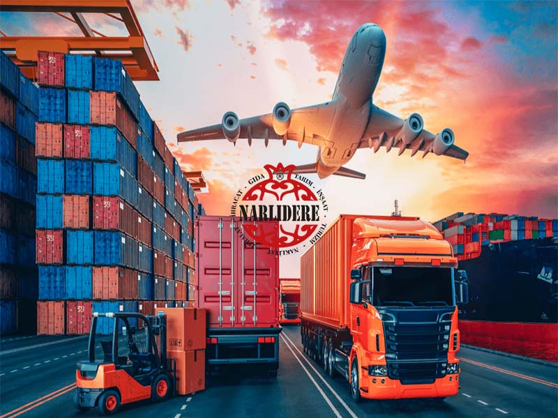 İthalat Nasıl Yapılır