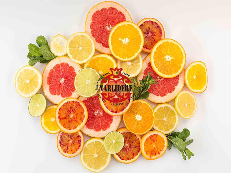 Narenciye Çeşitleri