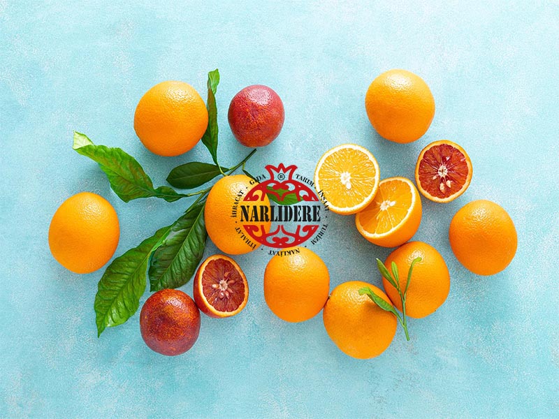 Narenciye Nedir, Çeşitleri